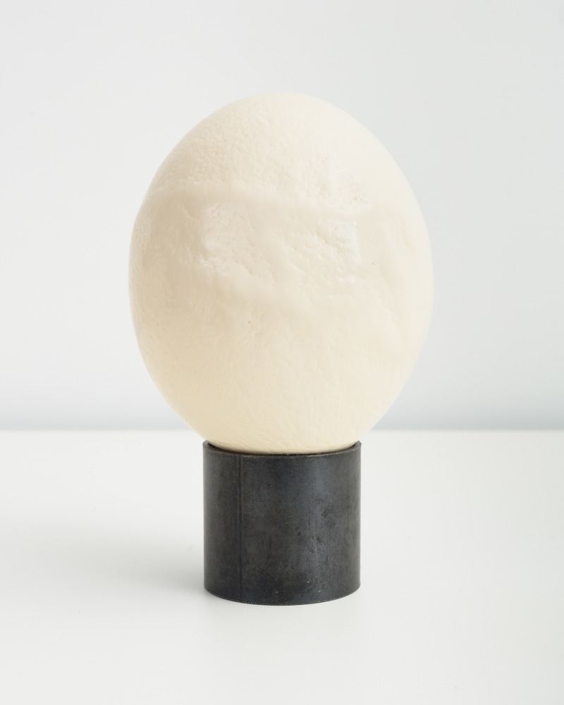 egg sculpture by Sarah Ortmeyer