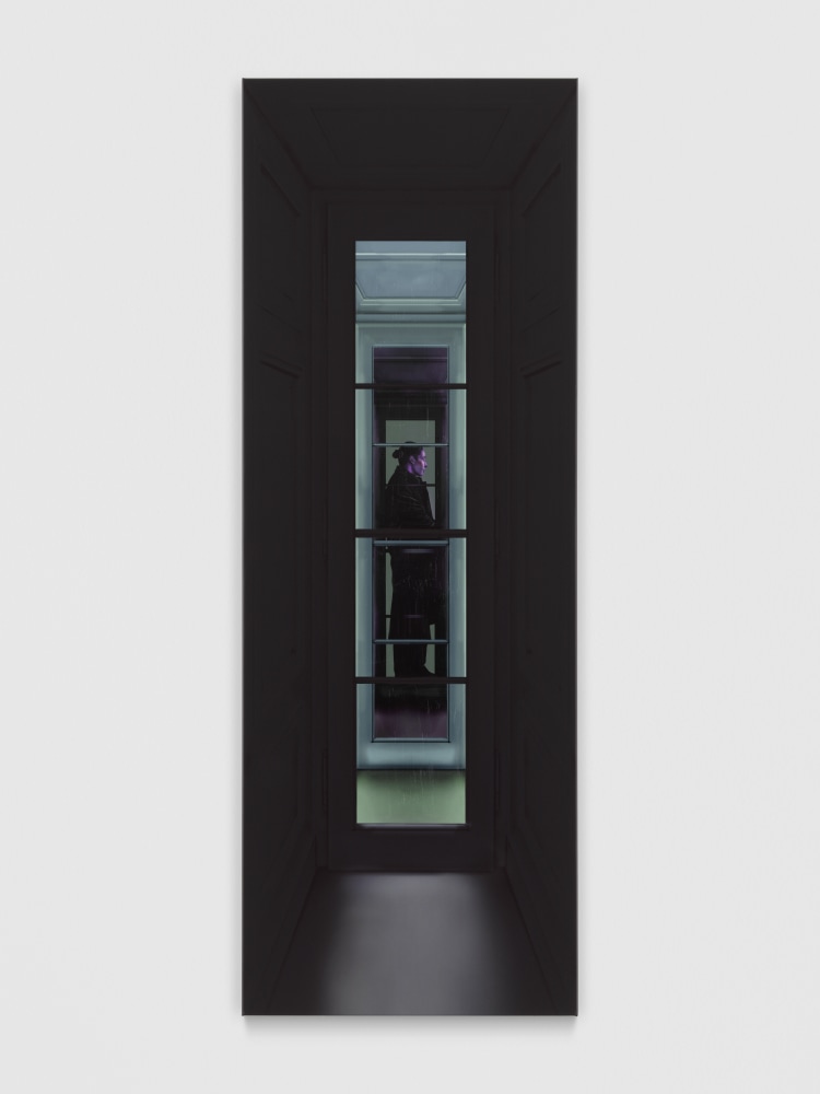 Reunion (Room 9)

2025

Gel medium, ink on PVC

170 x 60 cm / 66 7/8 x 23 5/8 in

&amp;copy; Louisa Gagliardi