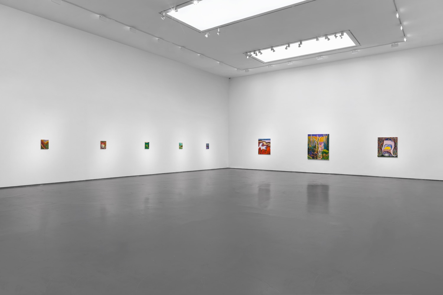 Installation view of paintings by Shara Hughes
