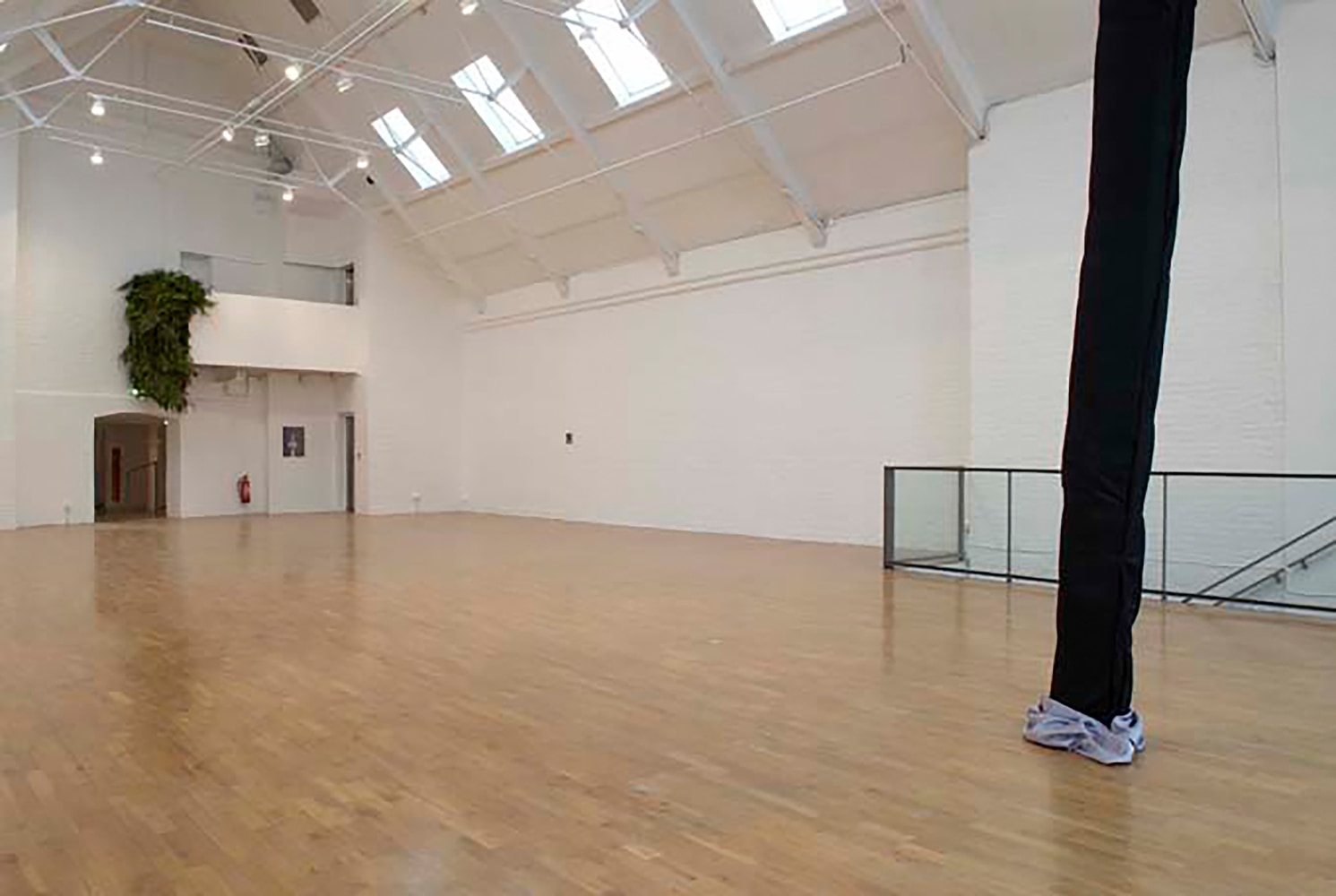 Installation view of works by Trisha Donnelly