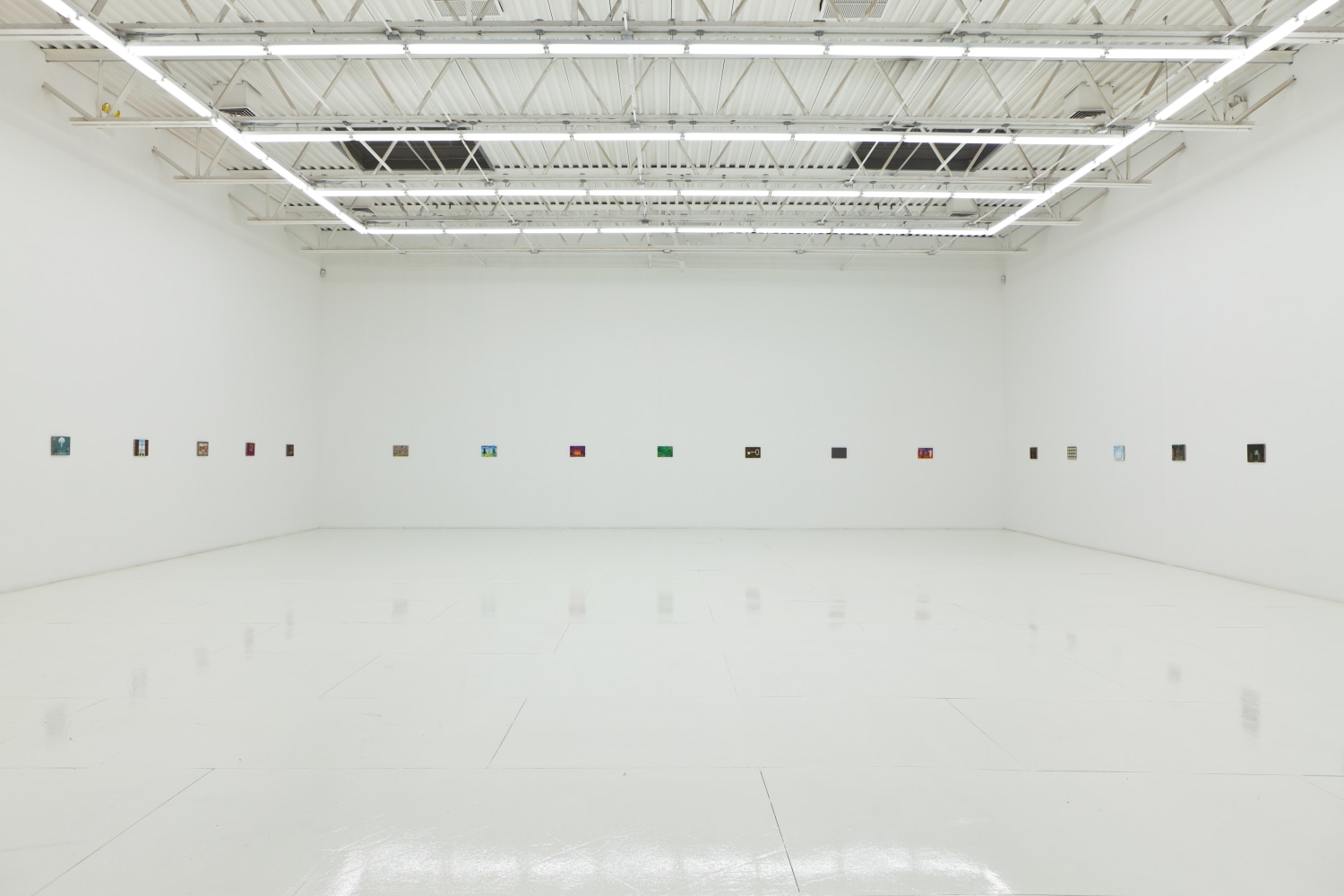 Installation view of works by Jean-Frédéric Schnyder