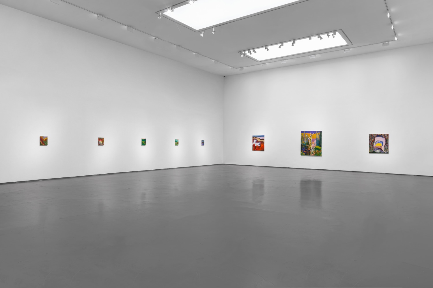 Installation view of Paintings by Shara Hughes