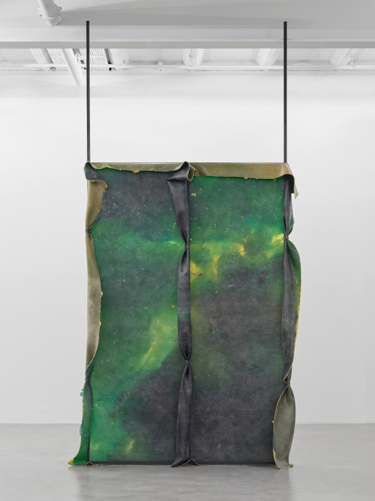 Crush 1

2024

Metal, latex, pigment, talcum

300 x 200 x 30 cm / 118 1/8 x 78 3/4 x 11 3/4 in

&amp;copy; Liesl Raff