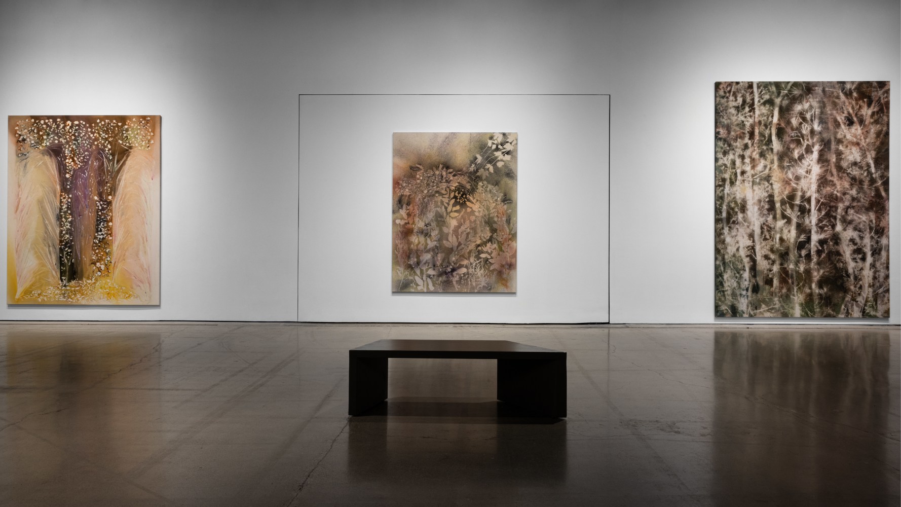 installation view sam falls cleveland