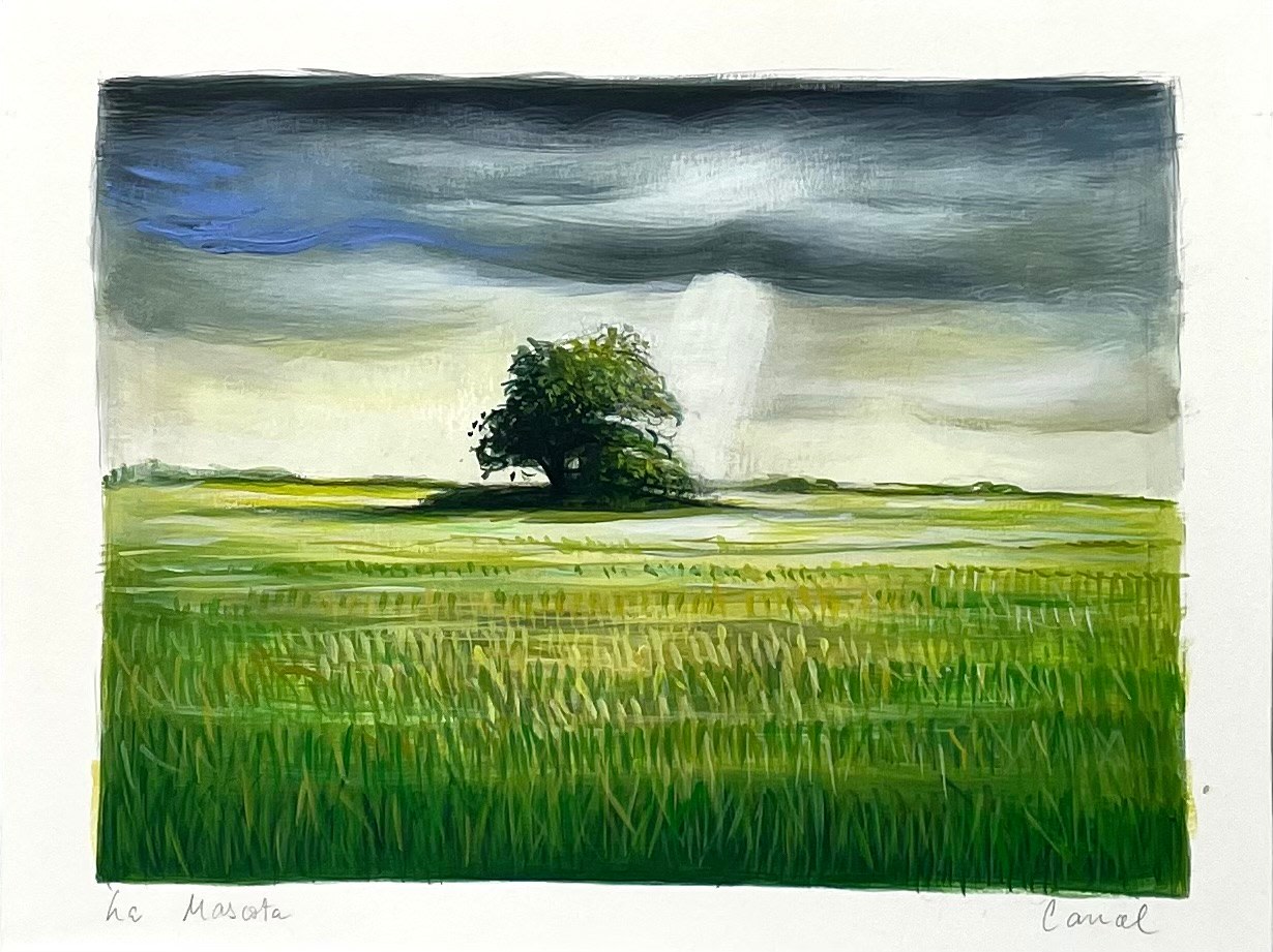 La Mascota

2023

Acrylic on paper

Sheet 24 x 31 cm / 9 1/2 x 12 1/4 in

Frame 29.5 x 36.5 cm / 11 5/8 x 14 3/8 in

&amp;copy; Manuel Cancel