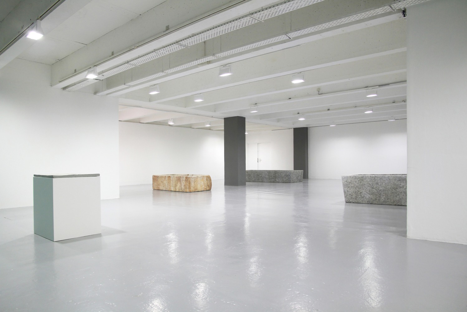 Installation view of sculptures by Valentin Carron