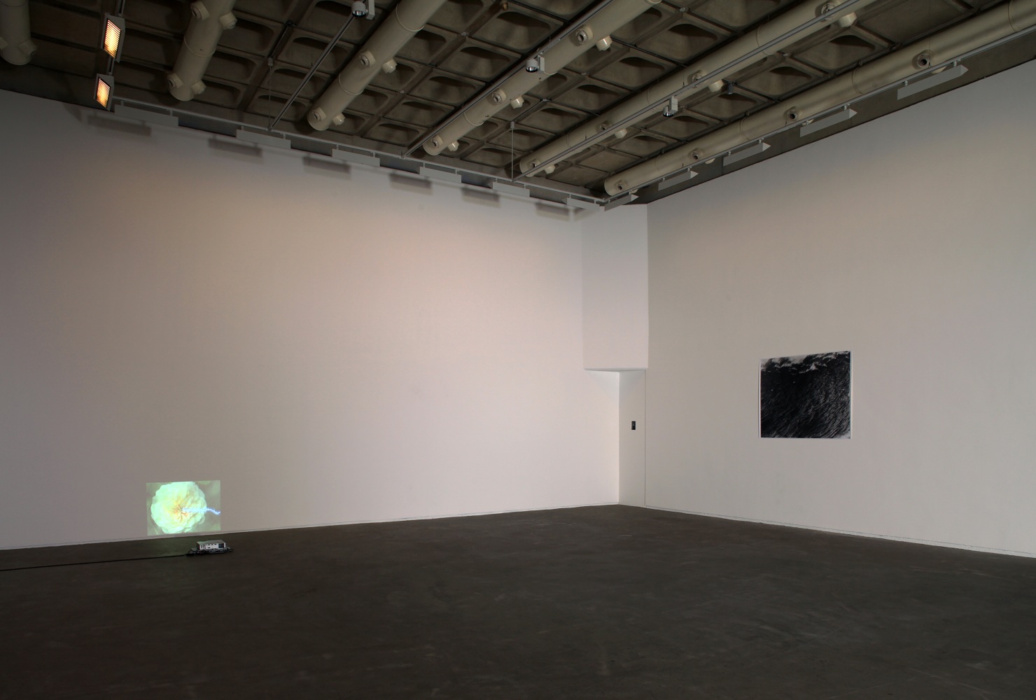 Installation view of works by Trisha Donnelly