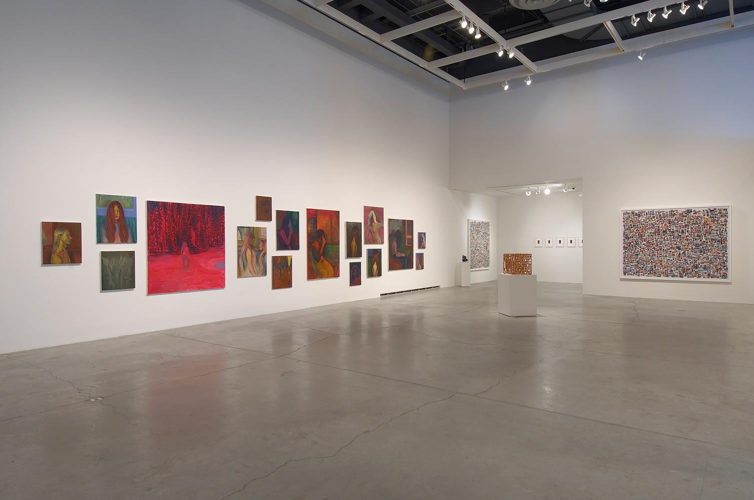 Installation view of works by Steven Shearer