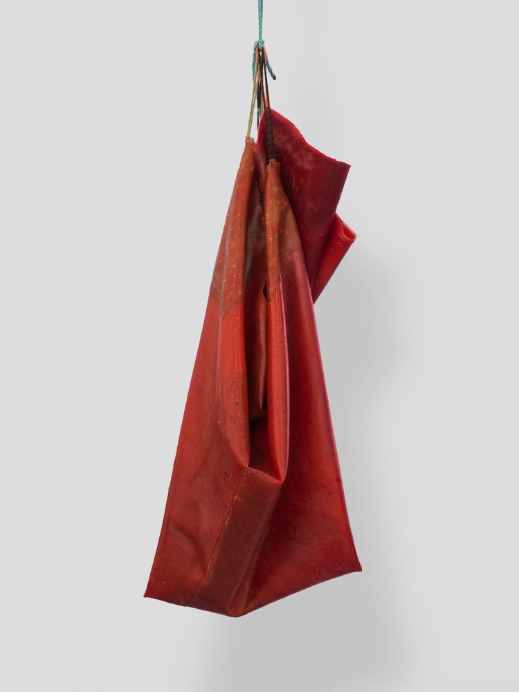 Den 2

2024

Latex, rope, jute, silicone oil

225 x 83 x 82 cm / 88 5/8 x 32 5/8 x 32 1/4 in

&amp;copy; Liesl Raff