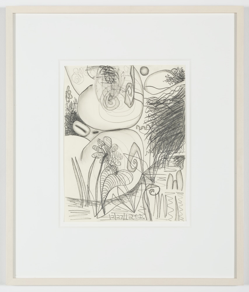 Drawing by Carroll Dunham