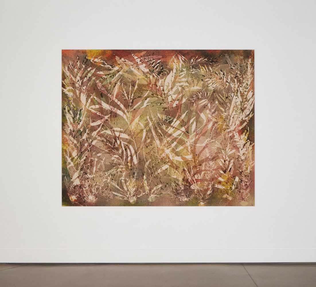 Installation view, Sam Falls, Nothing Without Nature, Cookie Factory, Denver, 2025