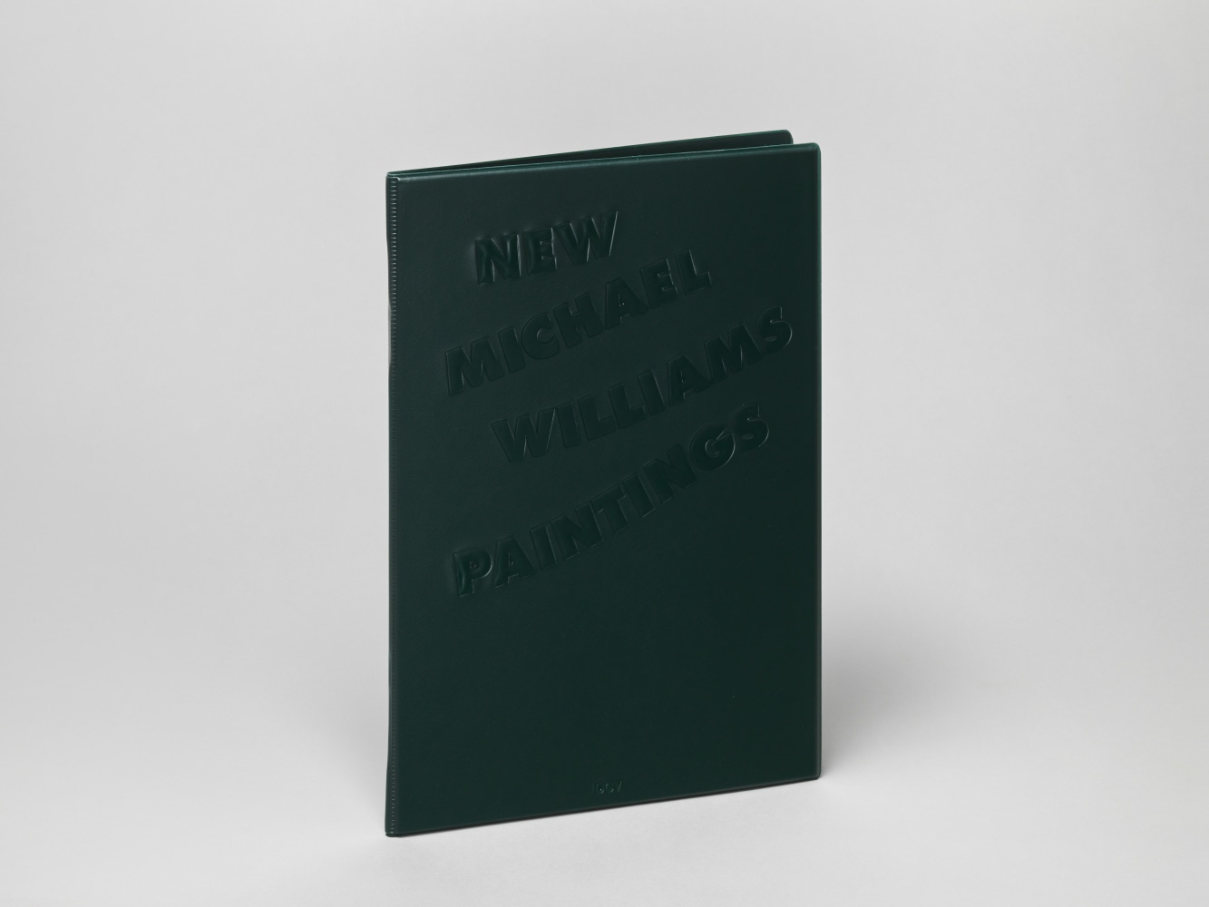 Image of Michael Williams New Paintings publication