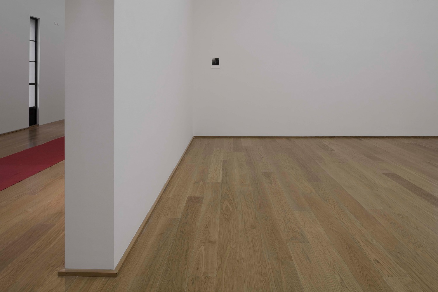 Installation view of works by Trisha Donnelly