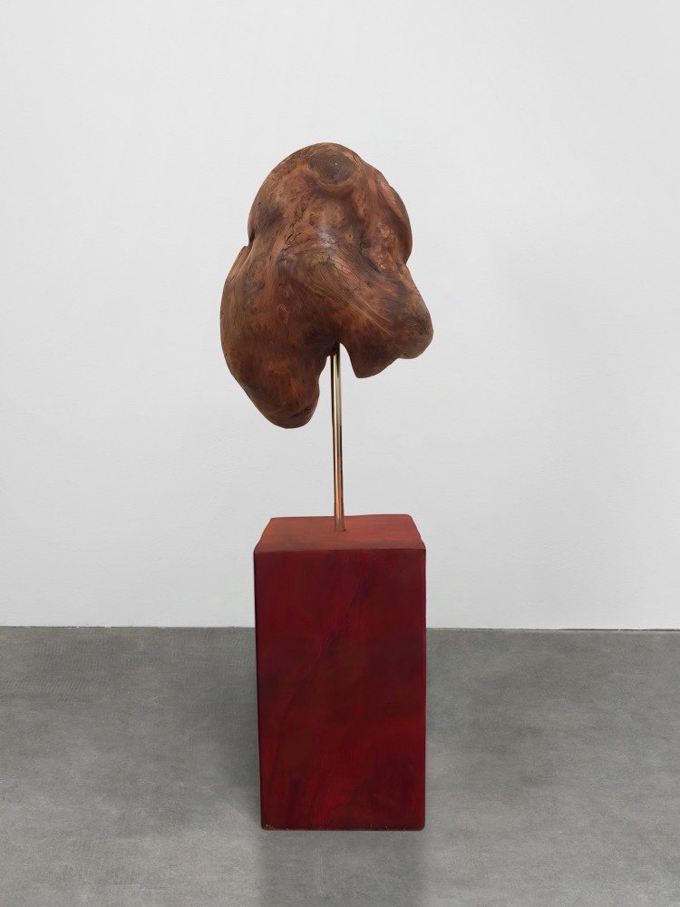 work by oscar tuazon