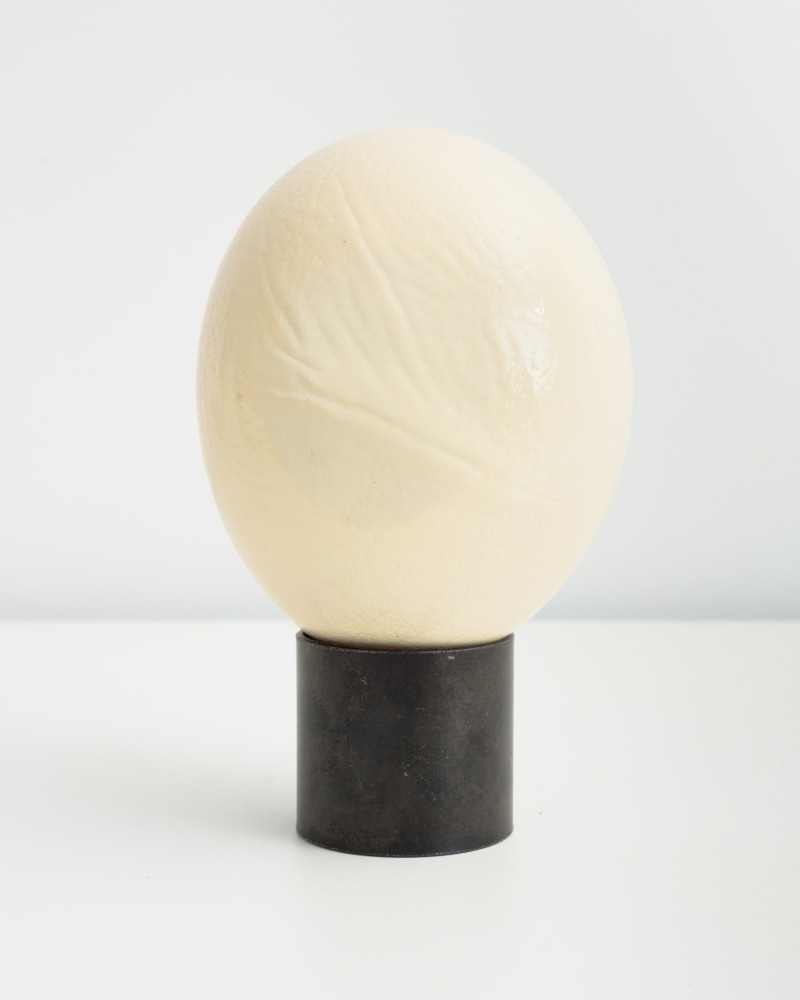 egg sculpture by Sarah Ortmeyer