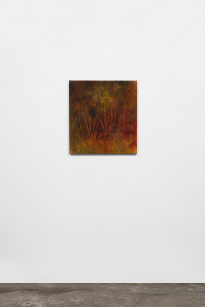 EVERYONE GETS LIGHTER