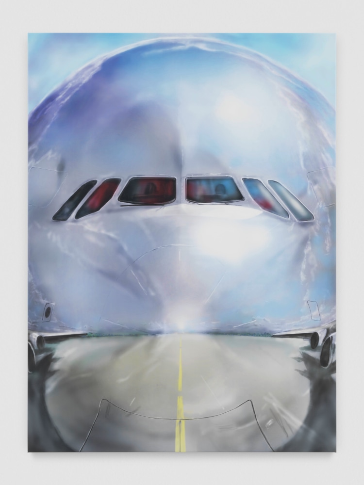 Out of the Blue

2025

Gel medium, ink on PVC

190 x 140 cm / 74 3/4 x 55 1/8 in

&amp;copy; Louisa Gagliardi