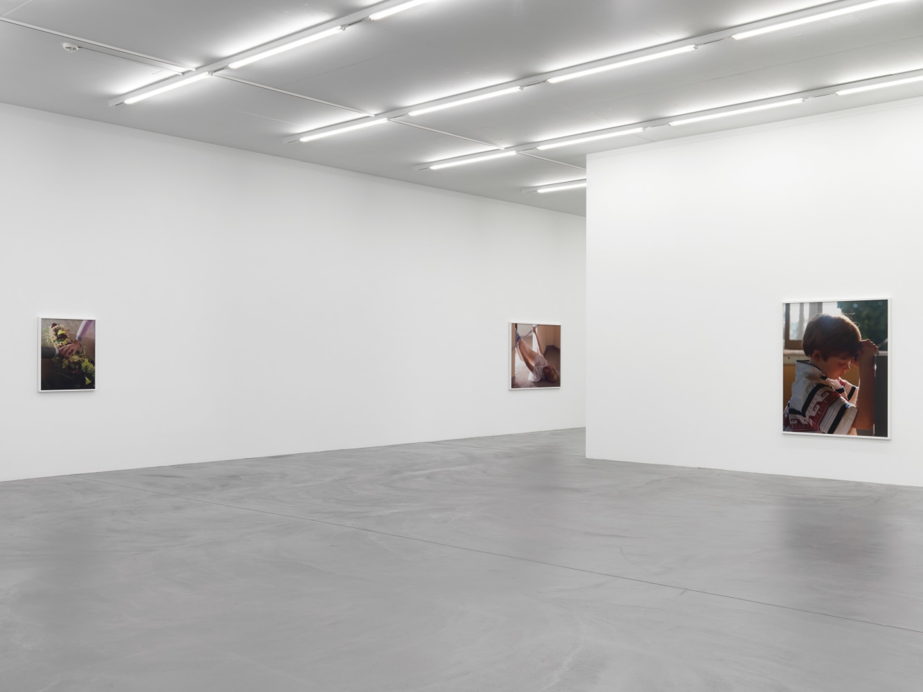 Installation view of Torbjørn Rødland photography exhibition