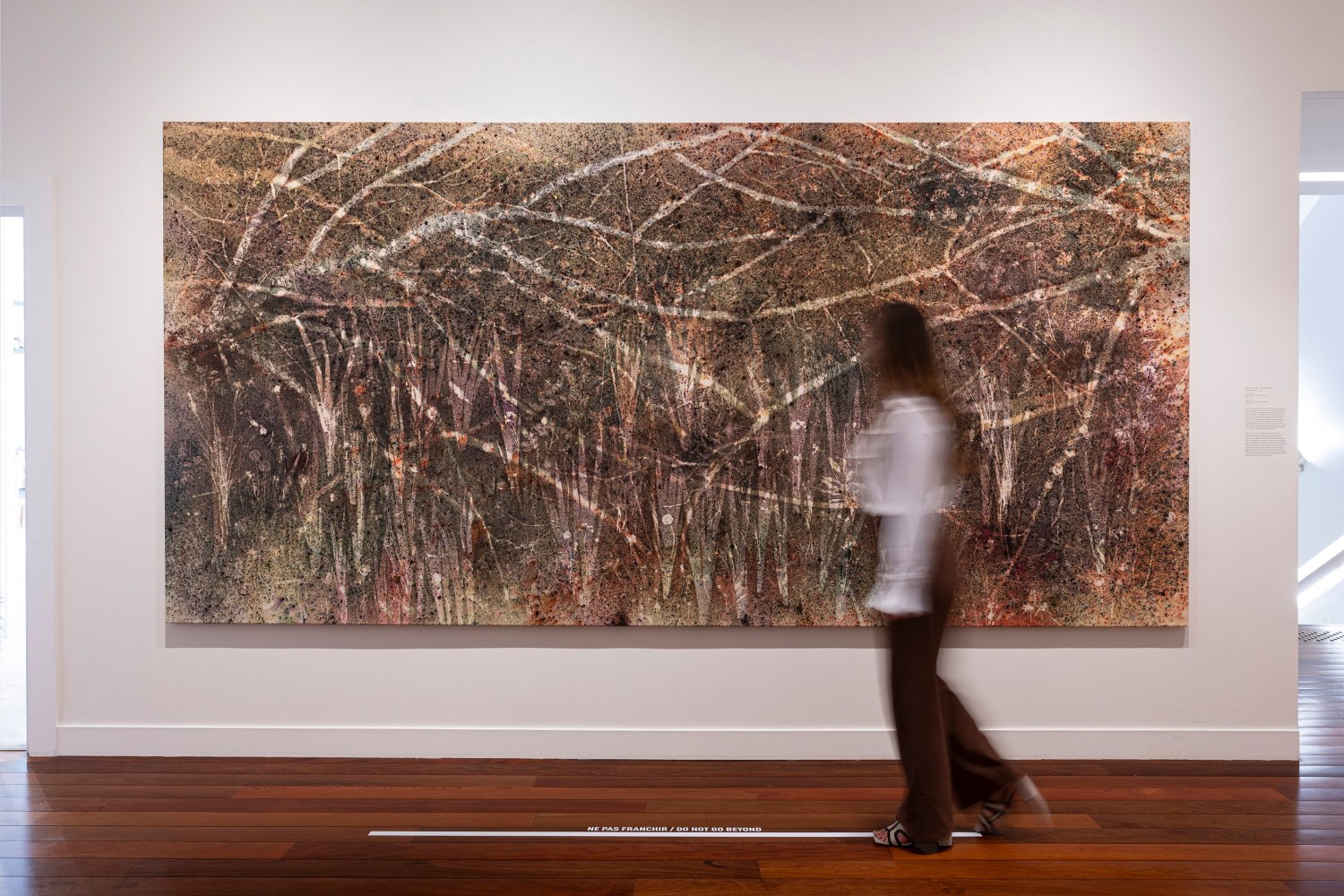 Installation view, Sam Falls, Les Fleurs d&amp;#39;Yves Saint Laurent, Mus&amp;eacute;e Yves Saint Laurent, Paris, 2024