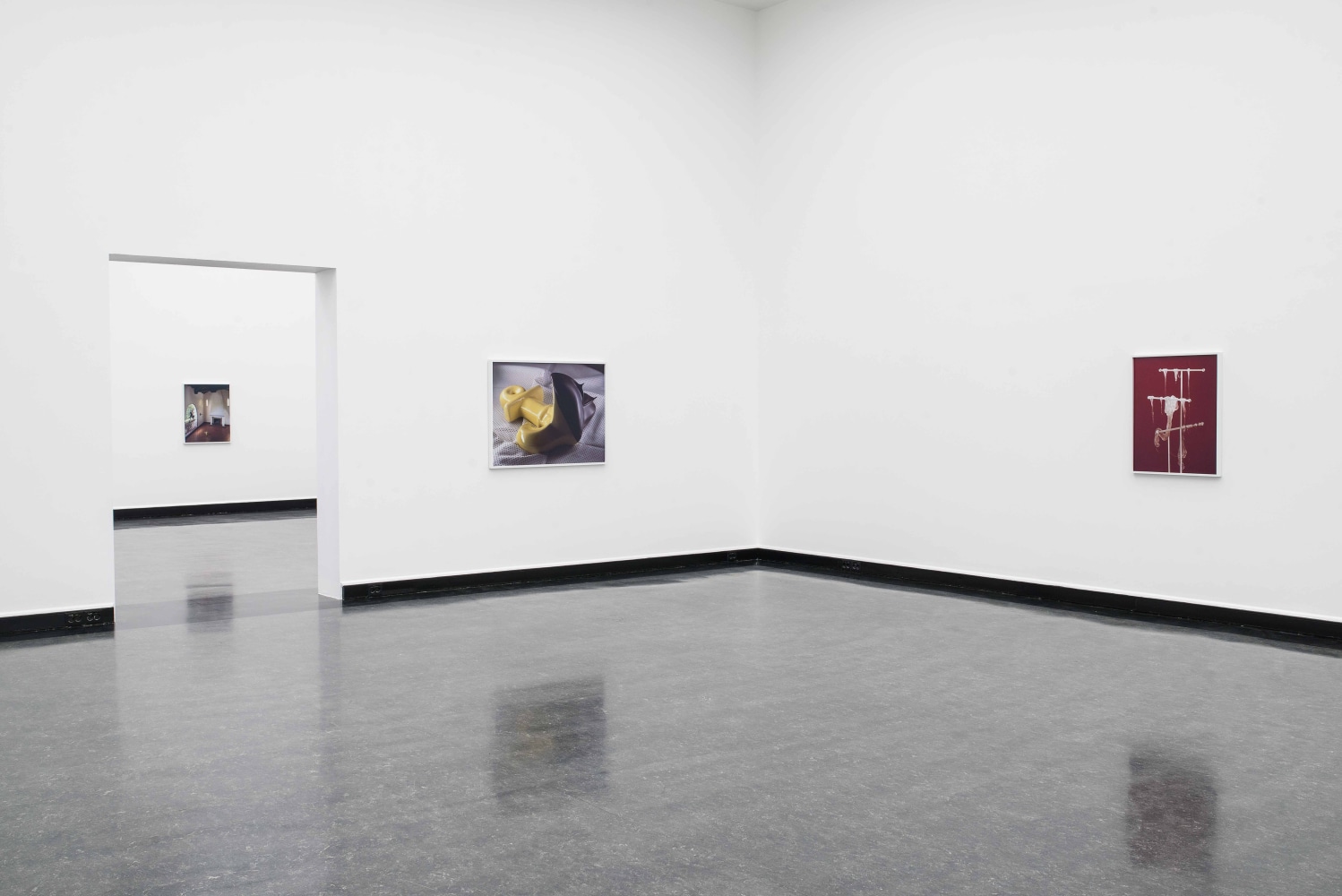 Installation view of photographs by Torbjørn Rødland