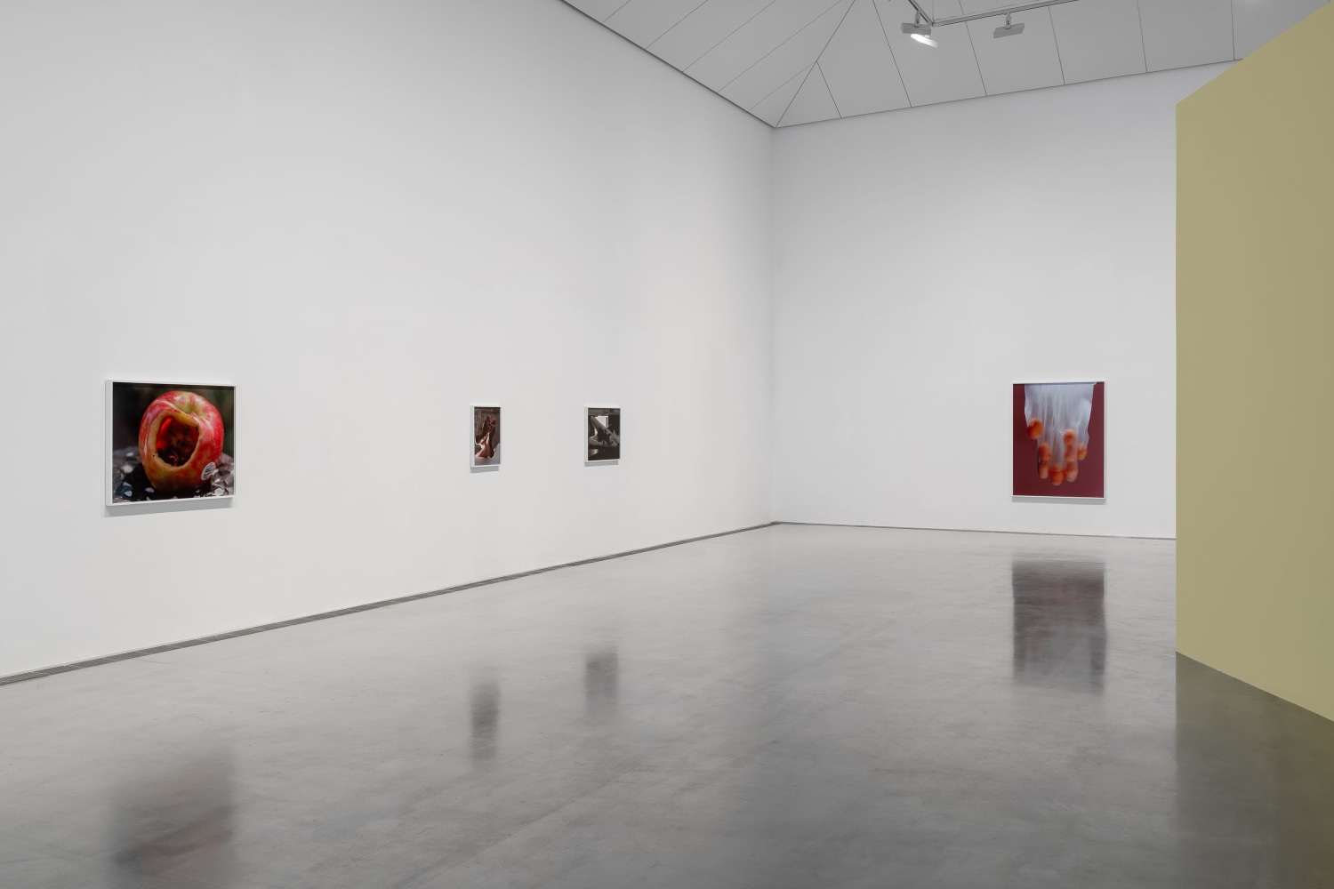 Installation view, Torbj&amp;oslash;rn R&amp;oslash;dland, Songs for the Sun, Yuz Museum, Shanghai, 2025
