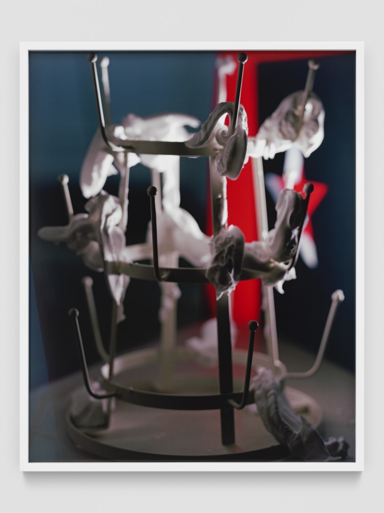 HEDGEHOG FOAM

2019

Chromogenic print on Kodak Endura paper, framed

Edition of 3&amp;nbsp;+ 1 AP

Image 76 x 60 cm / 29 7/8 x 23 5/8 inches

RODLA47259