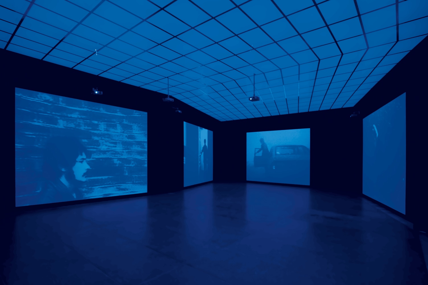 Installation view of video work by Ugo Rondinone