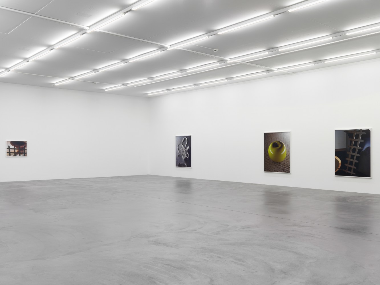 Installation view of Torbjørn Rødland photography exhibition