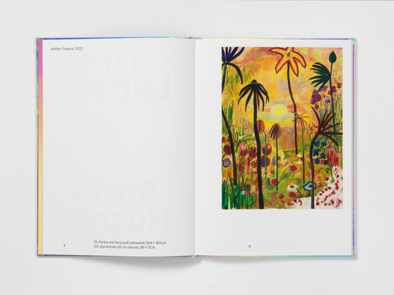 Image of Shara Hughes Time Lapsed publication