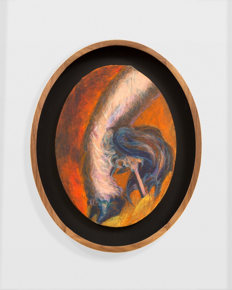 Hlakanyani I
2021
Oil stick and pastel on canvas
Sheet 41.5 x 29 cm / 16 1/4 x 11 1/2 in
Frame 52 x 42 cm / 20 1/2 x 16 1/2 in
RUGA 50129