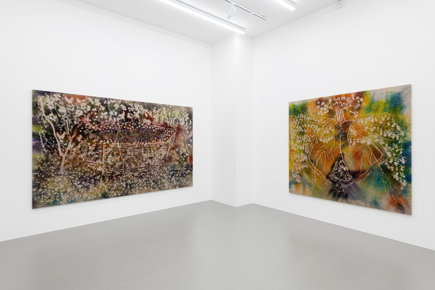 Installation view, Sam Falls, Vienna