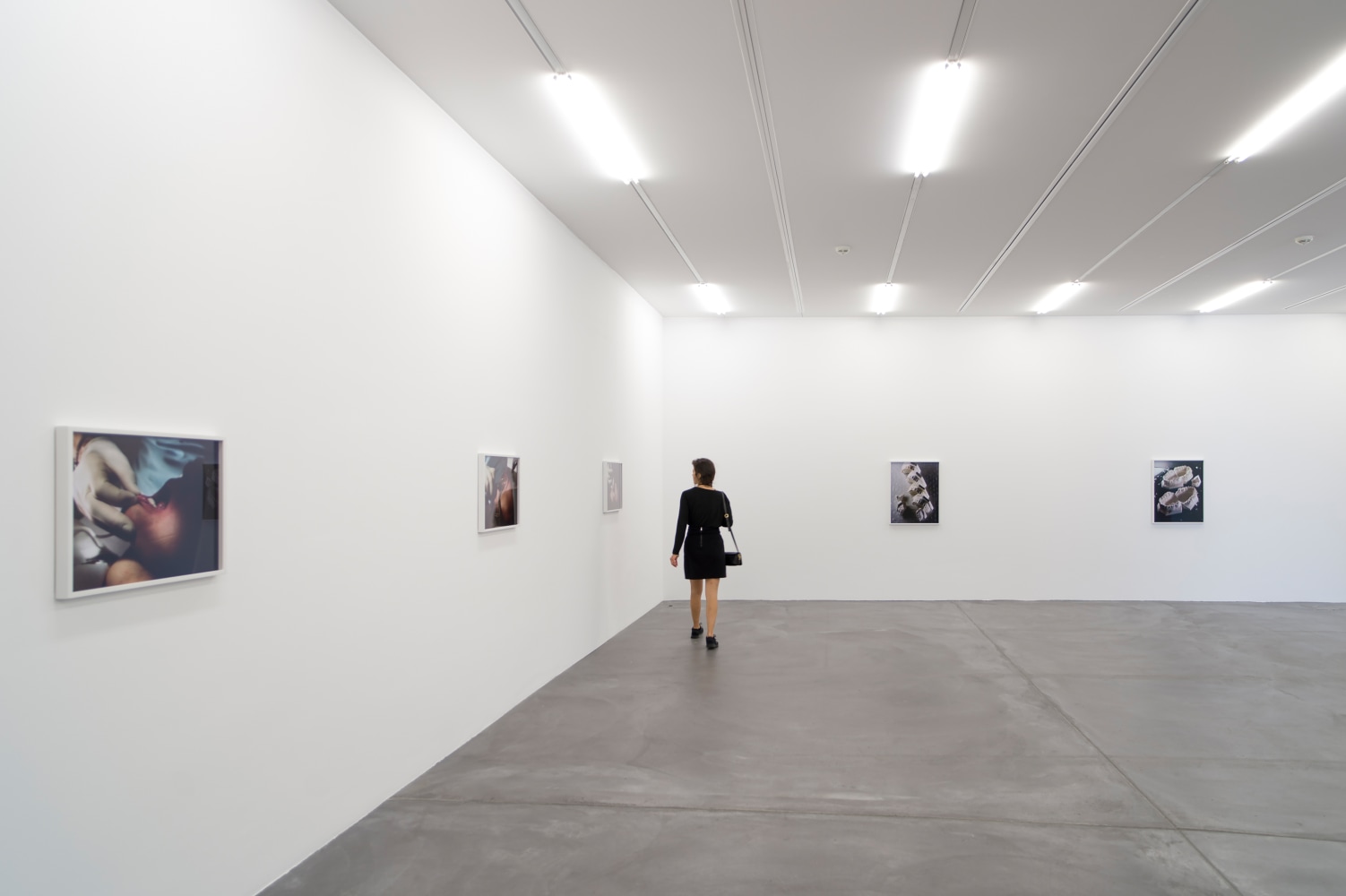 Installation view of photographs by Torbjørn Rødland