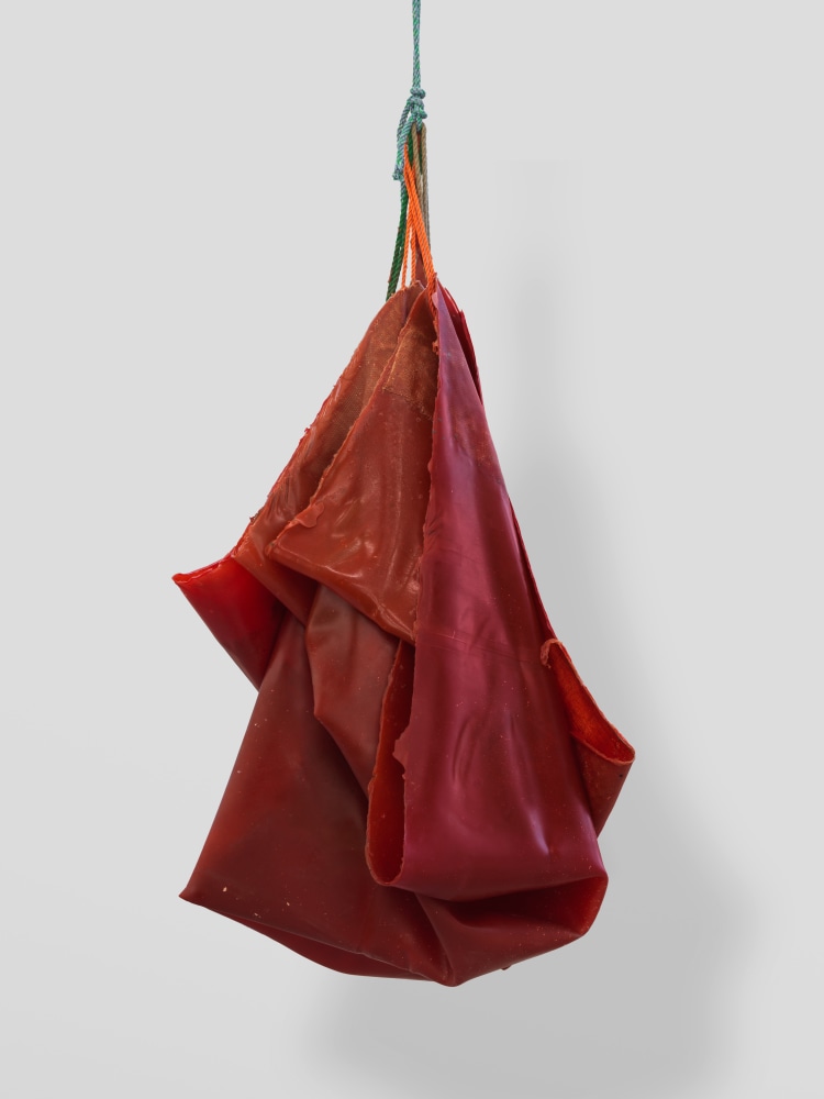 Den 3

2025

Latex, rope, jute, silicone oil

189 x 100 x 91 cm / 74 3/8 x 39 3/8 x 35 7/8 in

&amp;copy; Liesl Raff