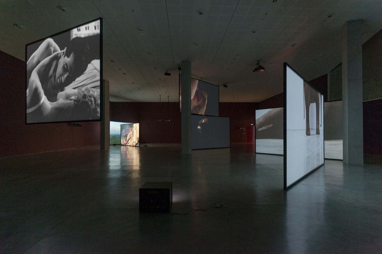 Installation view of photographs and sculptures by Douglas Gordon