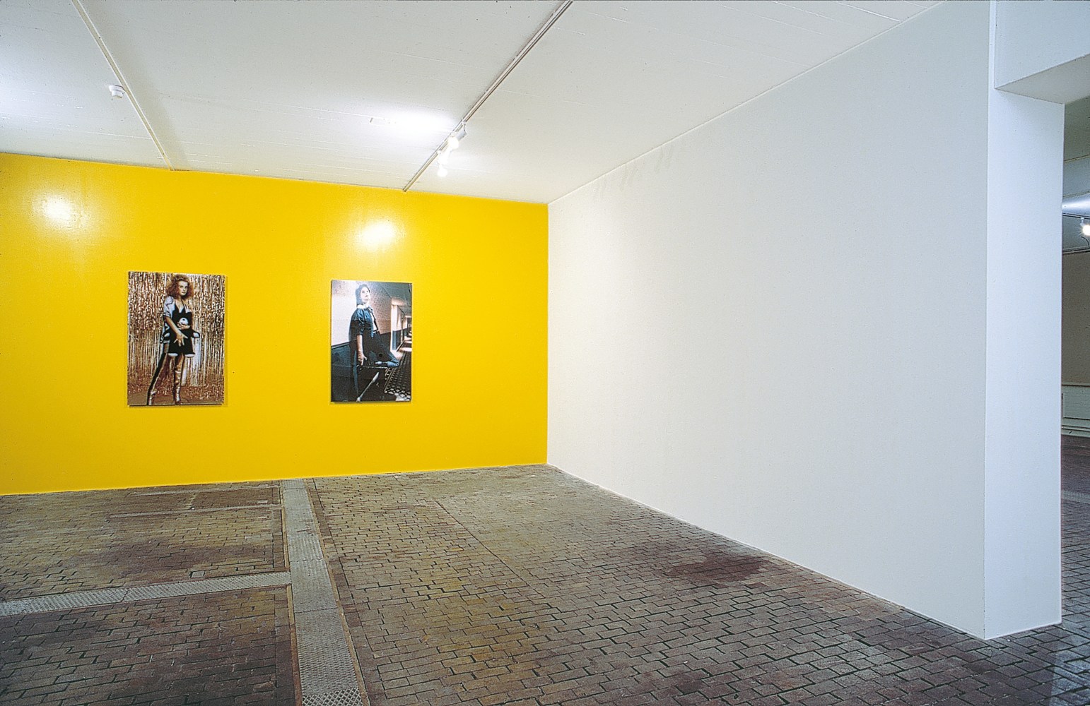 Installation view of photographs by Ugo Rondinone