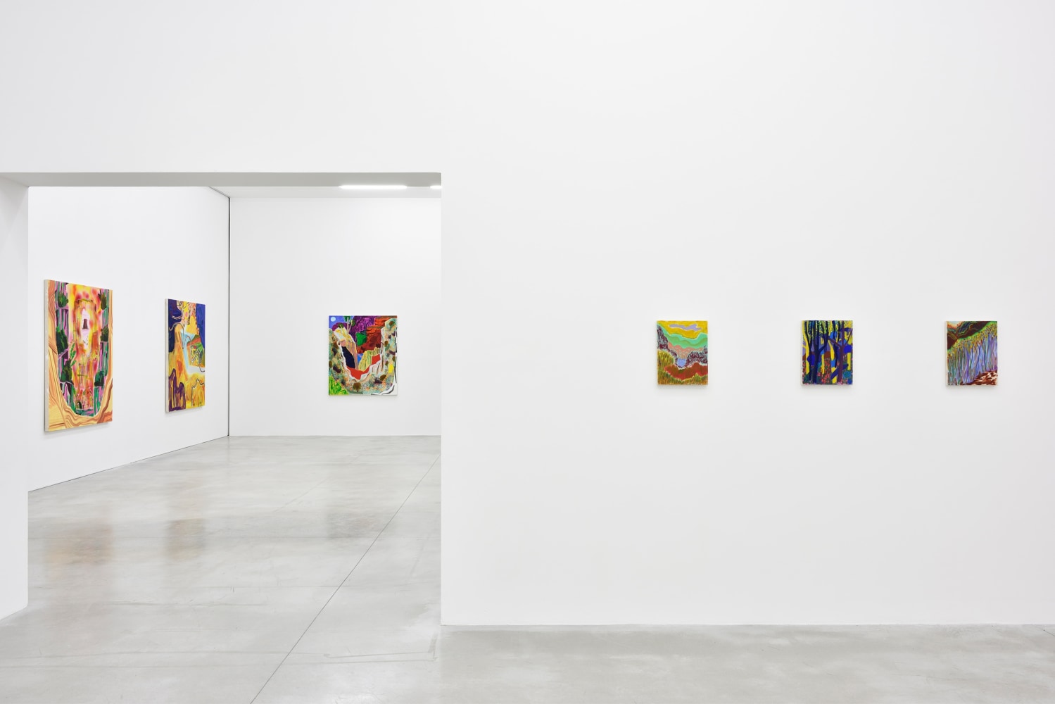 Installation view of Paintings by Shara Hughes