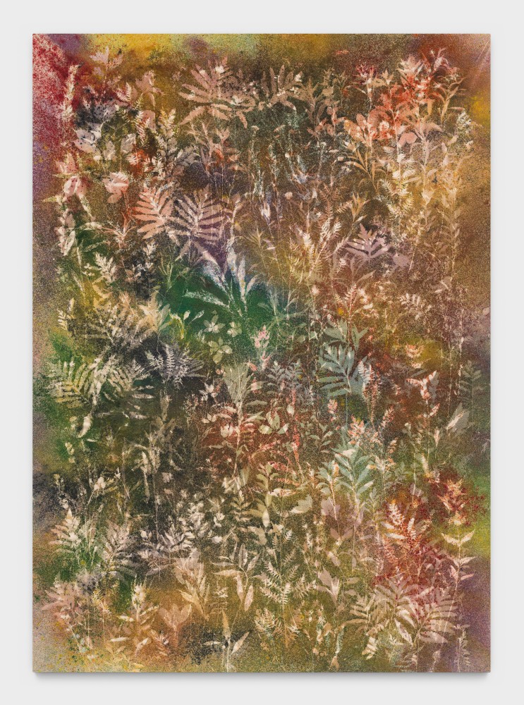 The Hardest Hue to Hold

2025

Pigment on canvas

269 x 193 cm / 106 x 76 in

&amp;copy; Sam Falls