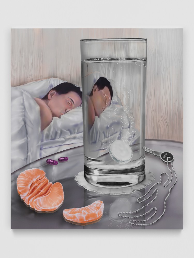 The Sleeper Slept

2024

Gel medium, ink on PVC

135 x 120 cm / 53 1/8 x 47 1/4 in

&amp;copy; Louisa Gagliardi