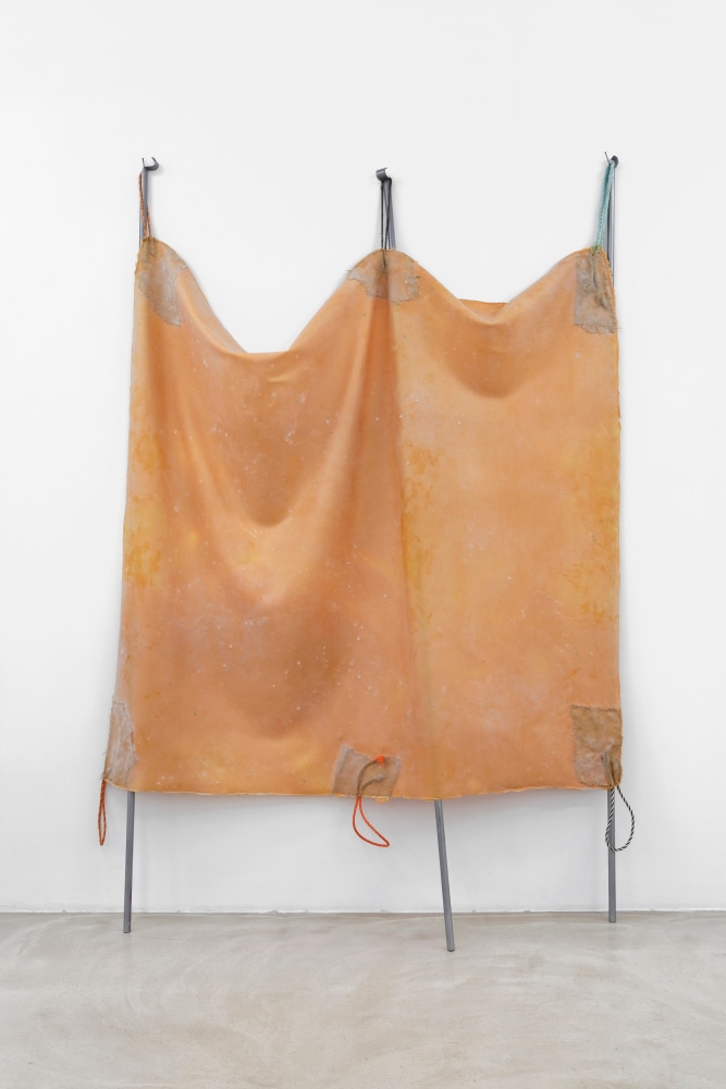 Coat 4

2022

Latex, metal, rope, fabric, pigment, silicone oil dimensions variable

275 x 180 x 30 cm / 108 1/4 x 70 7/8 x 11 3/4 in

&amp;copy; Liesl Raff