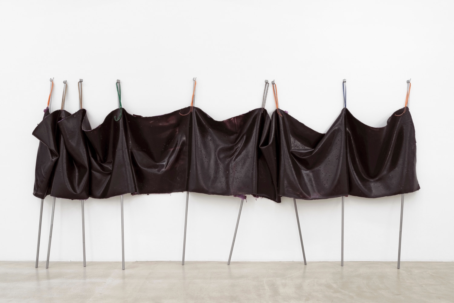 Coat 1

2022

Latex, metal, rope, fabric, pigment, silicone oil dimensions variable

200 x 420 x 30 cm / 78 3/4 x 165 3/8 x 11 3/4 in

&amp;copy; Liesl Raff