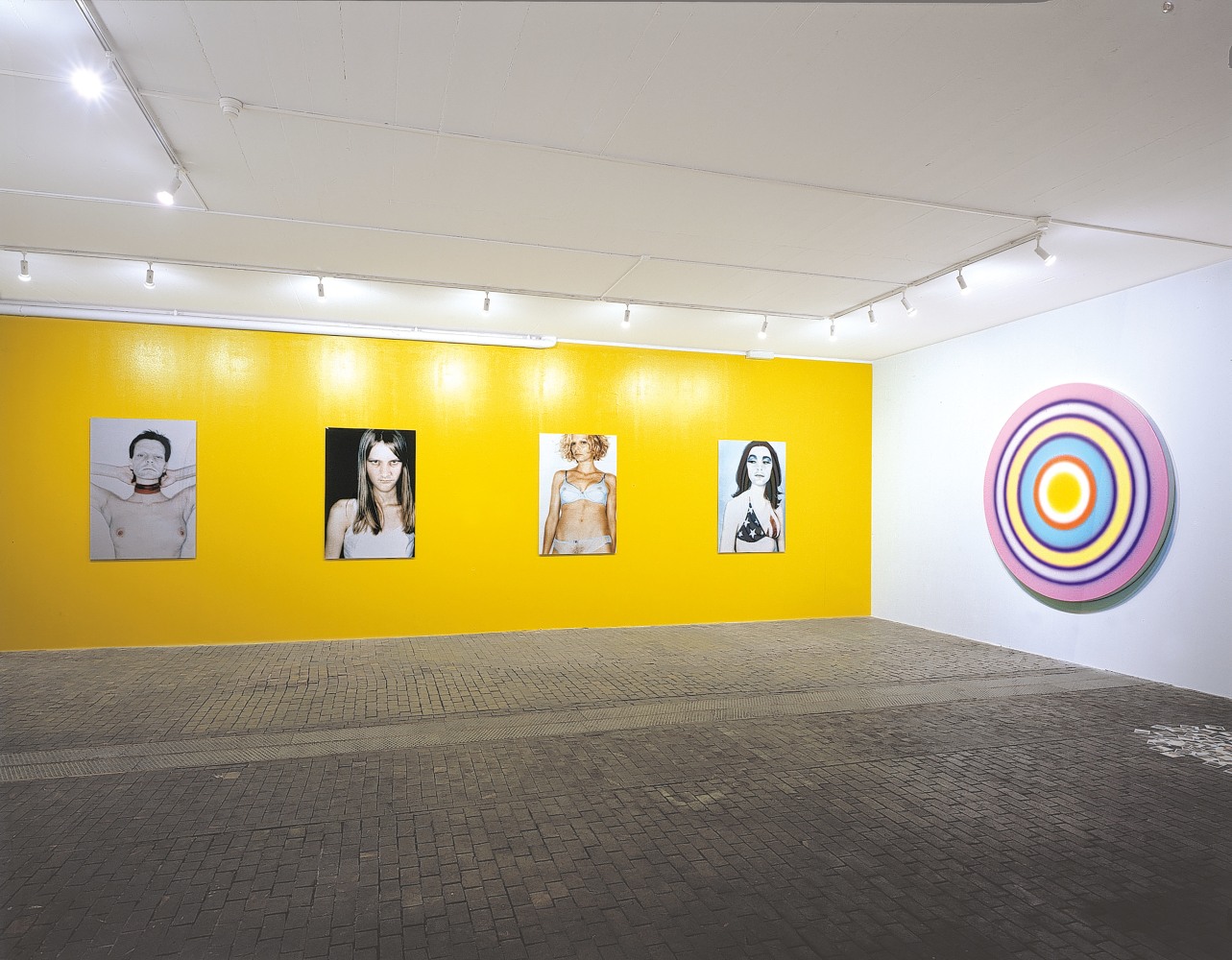 Installation view of photographs and painting by Ugo Rondinone