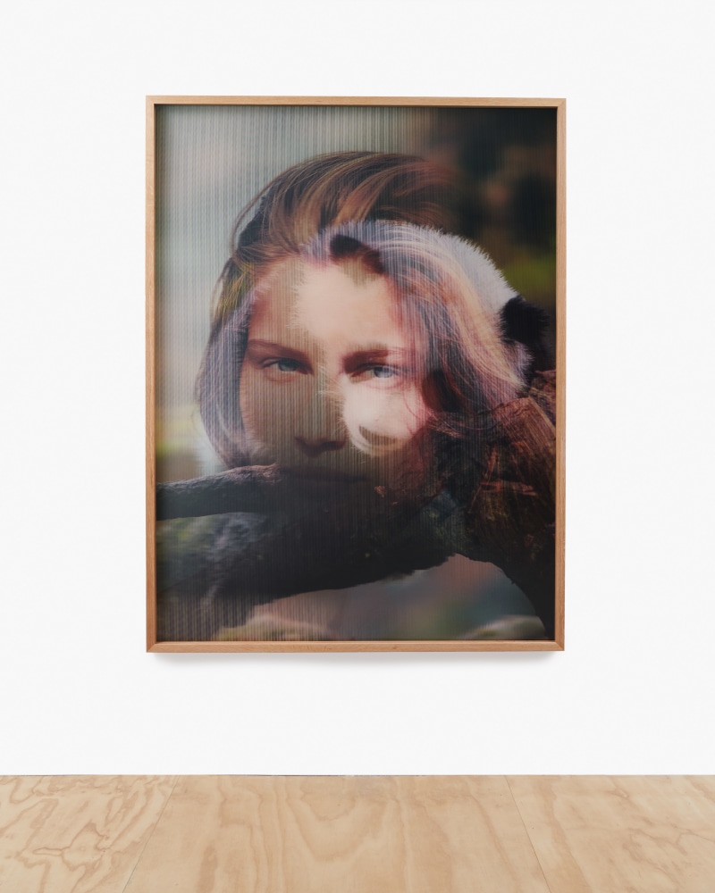 lenticular works by Yves Scherer