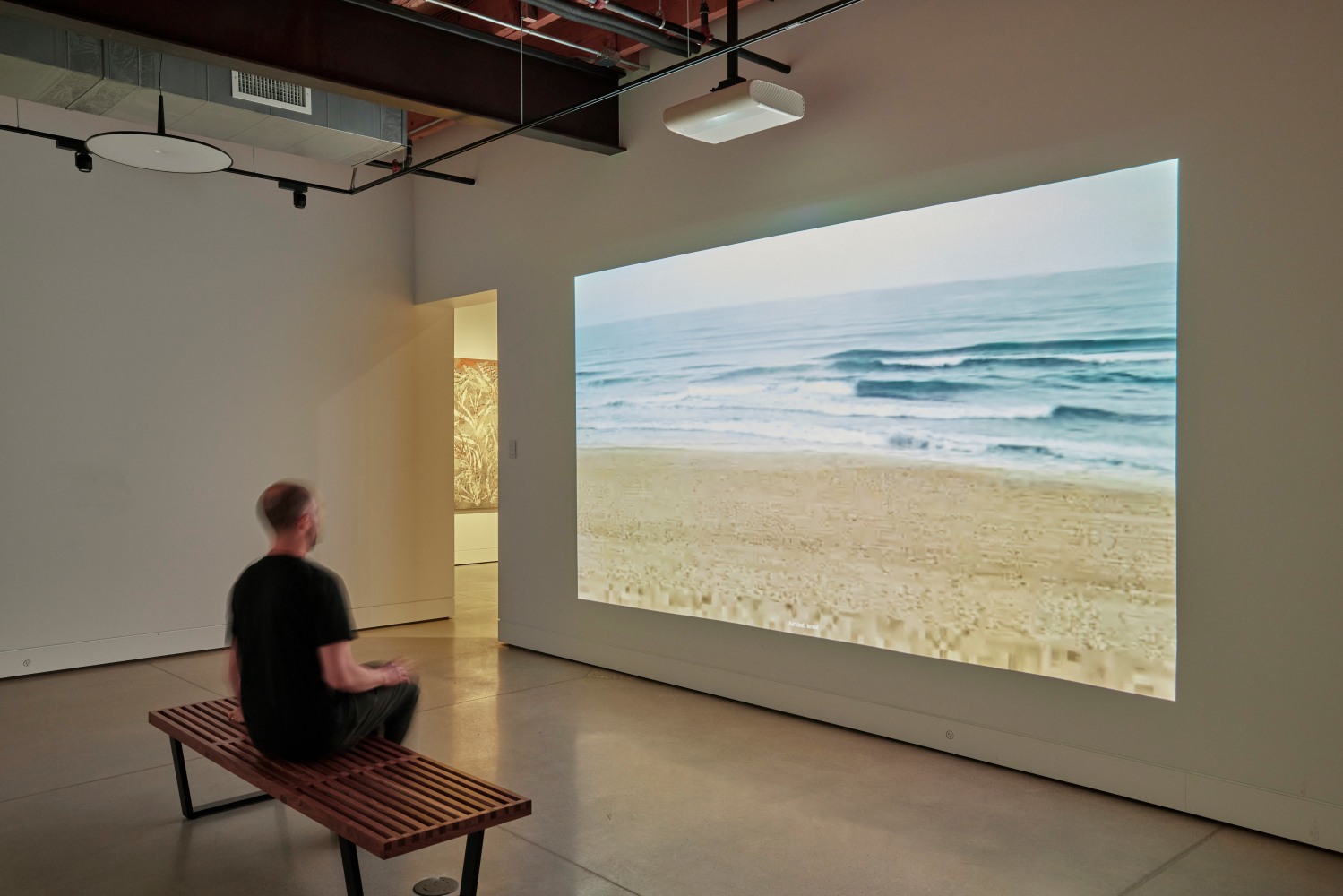 Installation view, Sam Falls, Nothing Without Nature, Cookie Factory, Denver, 2025