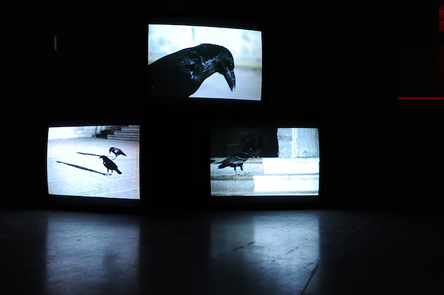 Installation view of video work by Douglas Gordon