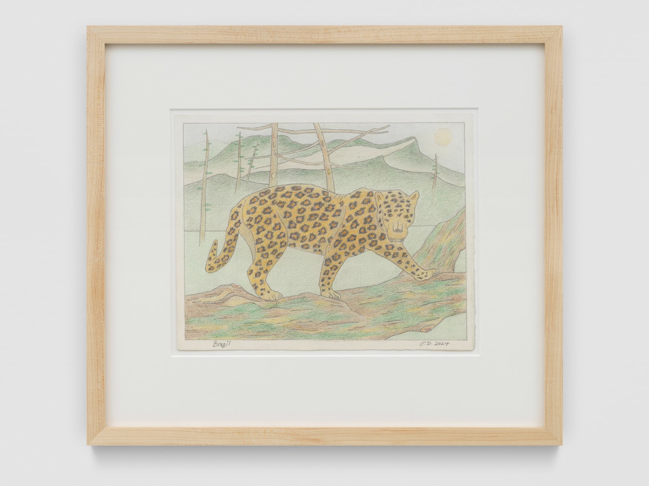 Brazil

2024

Colored pencil and graphite pencil on Arches hot press paper

Sheet 20.5 x 25.5 cm / 8 x 10 in

Frame 36 x 41 x 3 cm / 14 1/8 x 16 1/8 x 1 1/8 in

&amp;copy; John Dilg