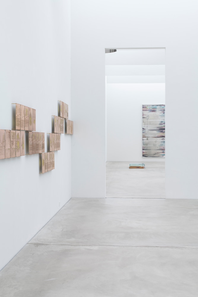 Installation view of wall works by Walead Beshty