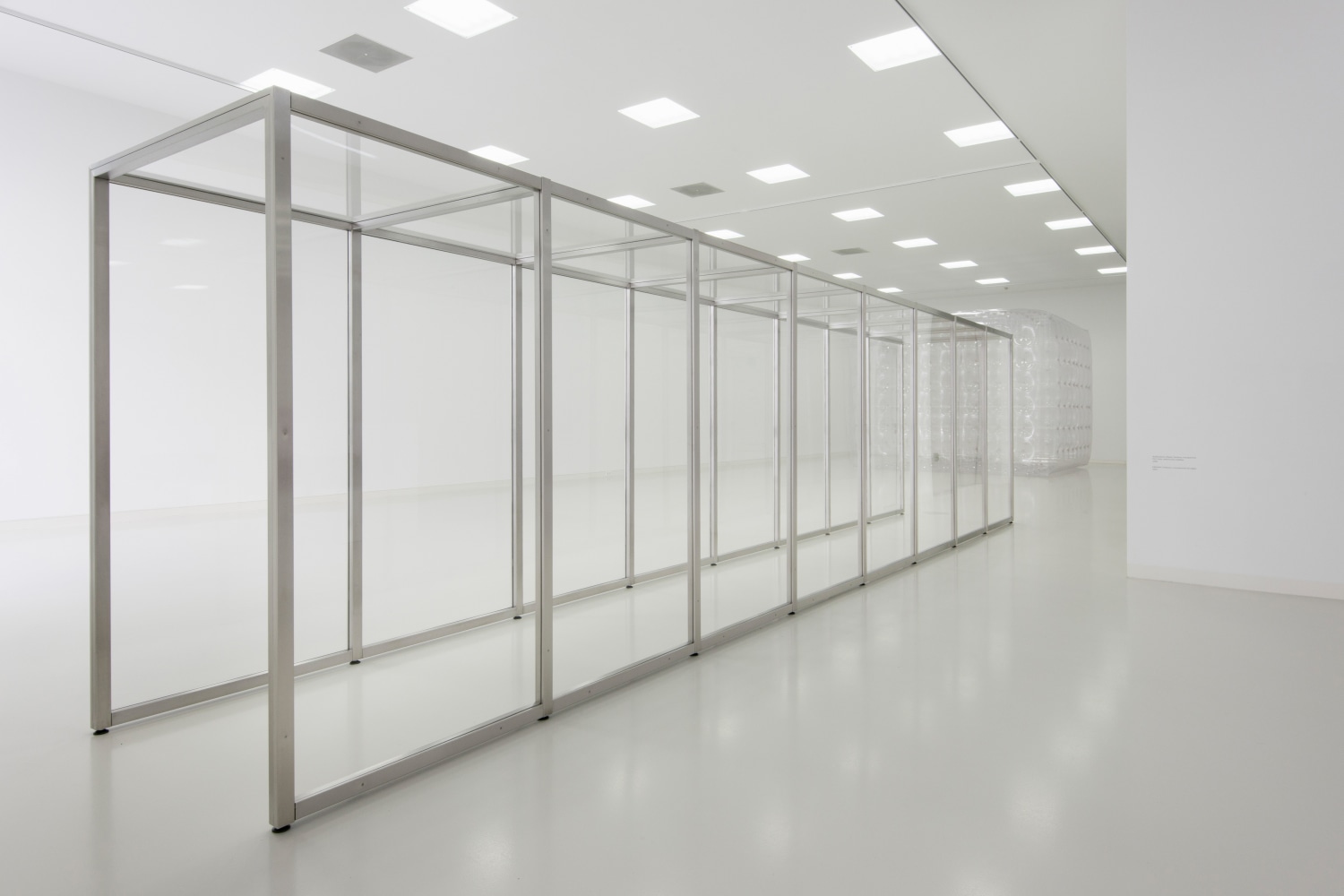 Installation view of wall works by Gerwald Rockenschaub