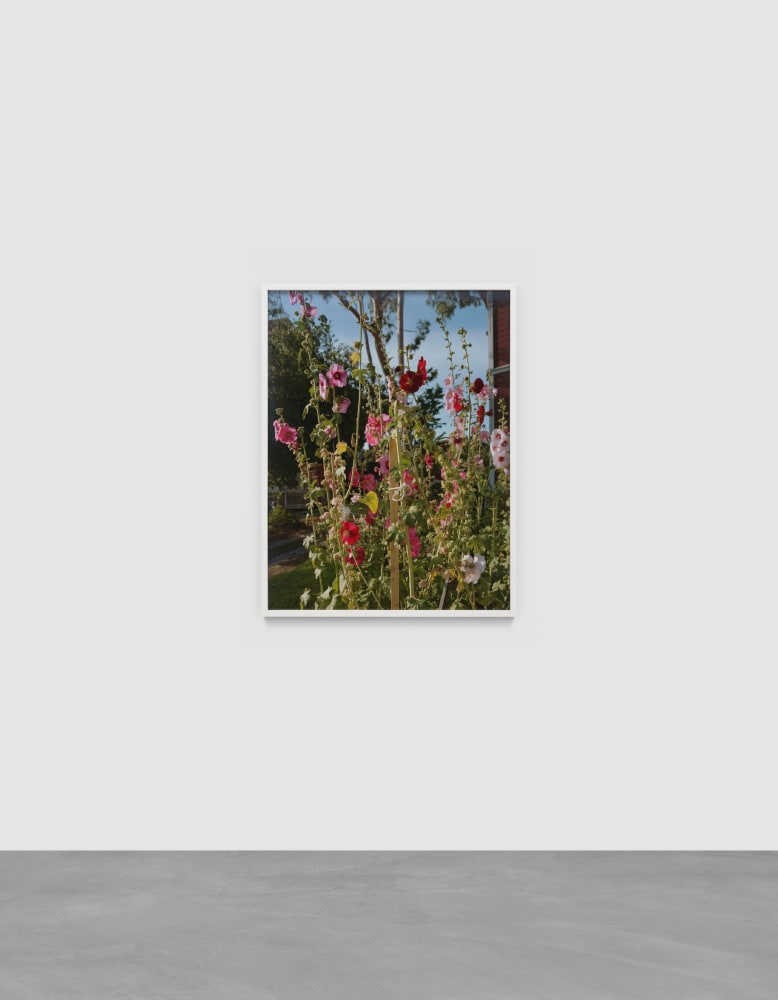 TORBJ&Oslash;RN R&Oslash;DLAND