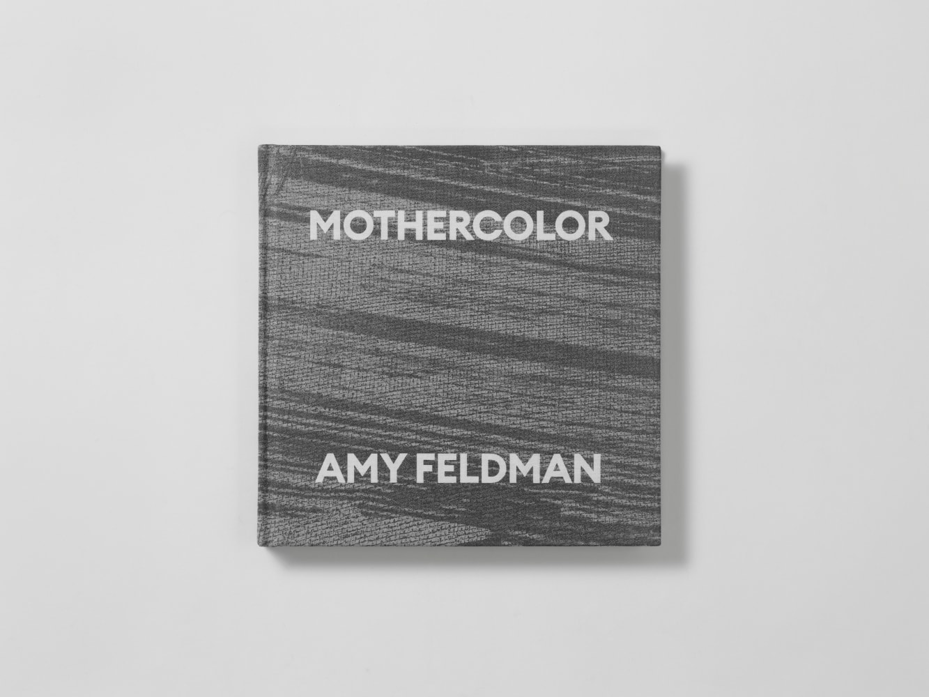 image of publication Amy Feldman: Mothercolor