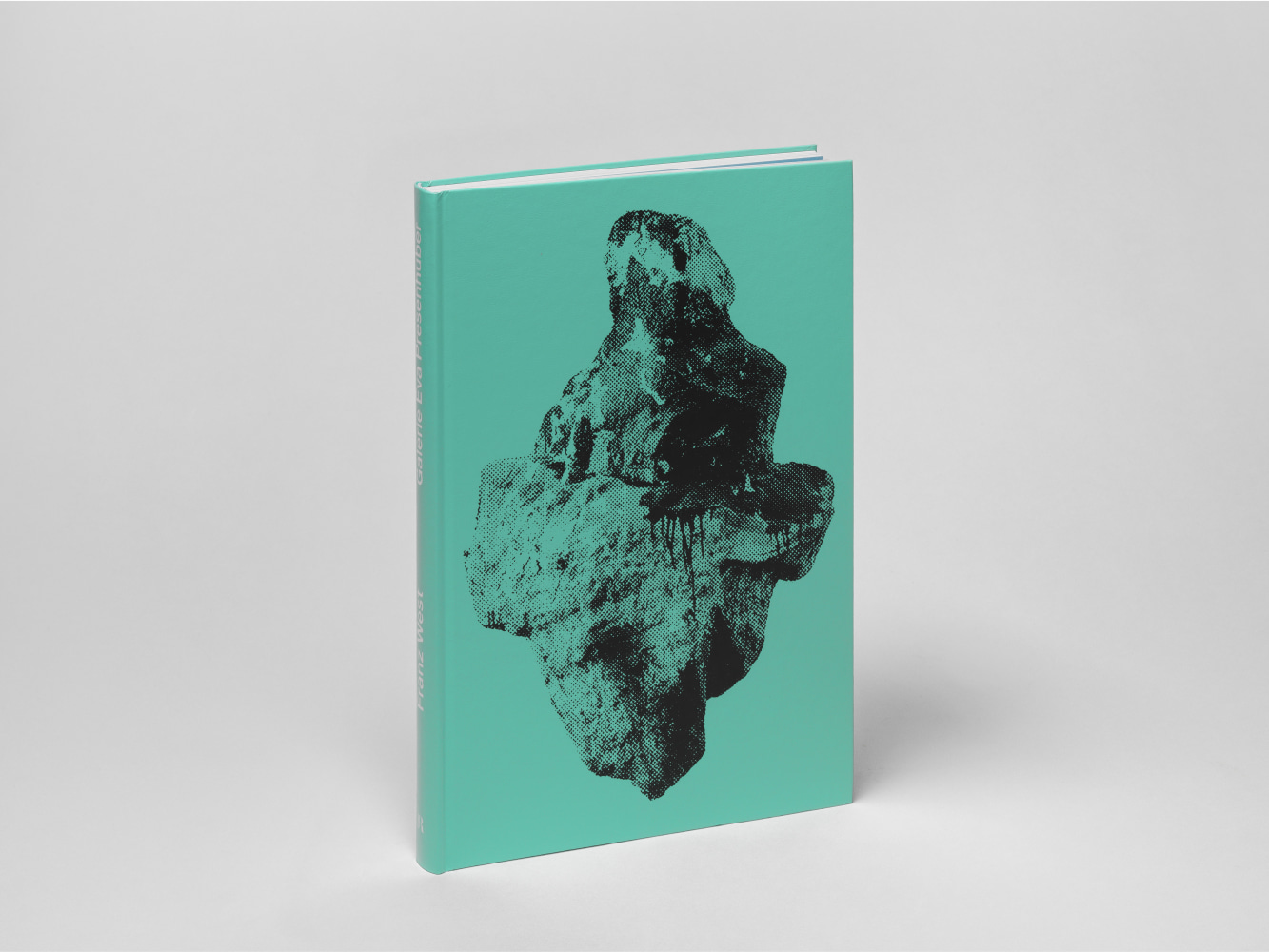 Image of Franz West publication